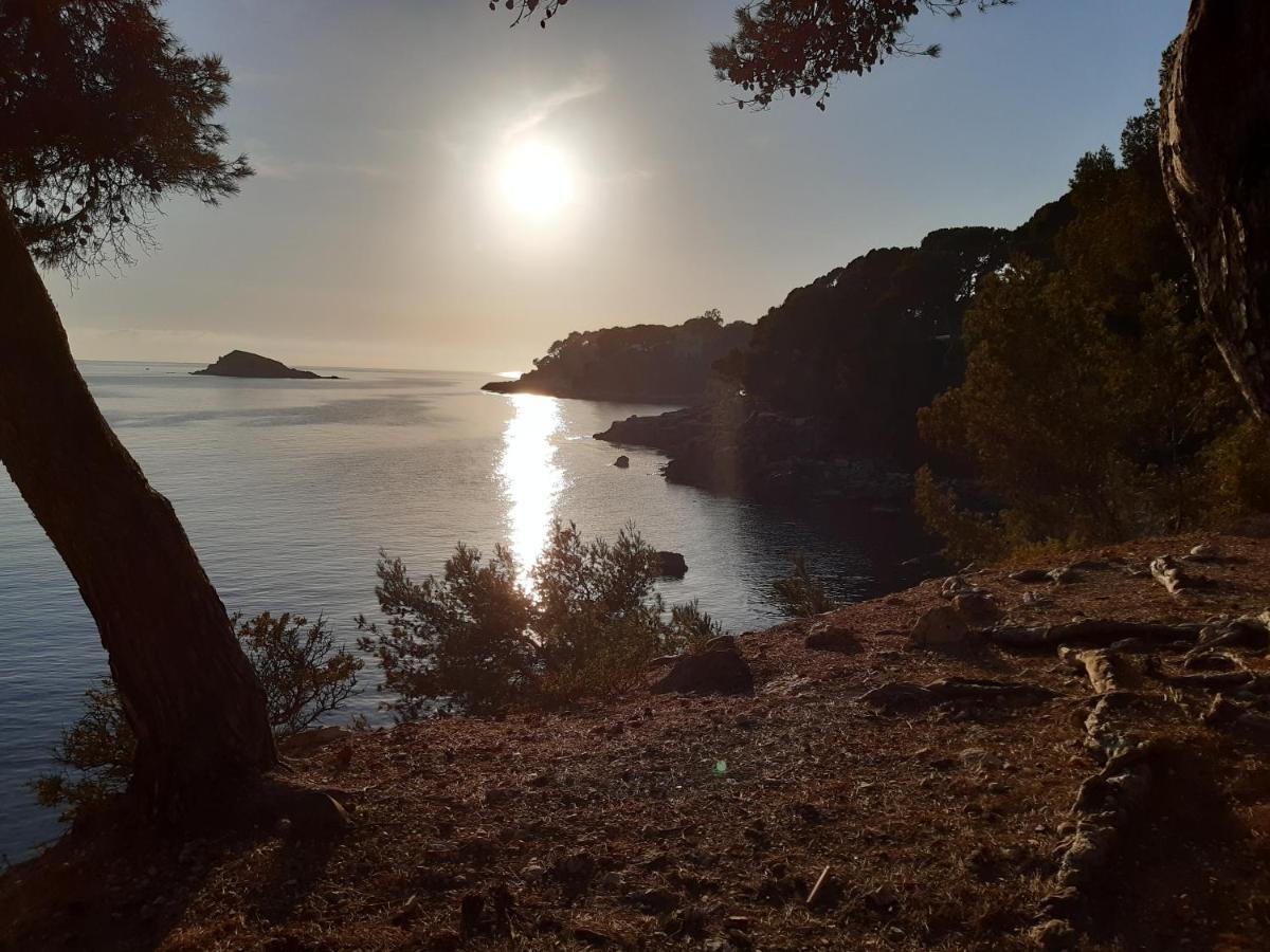 Vila Chez Pierrot 2 Bandol Exteriér fotografie